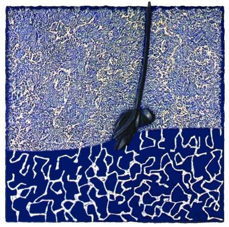 BLU 71 - Il grande blu-ff